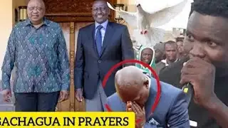 HAPPY BIRTHDAY OMOSH ONE HOUR LIVE  JACARANDA