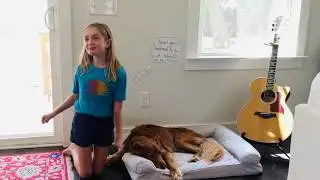 Harbor View Elementary Student Toilet Paper Challenge