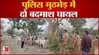 Haridwar Encounter : UP से लगी सीमा पर पुलिस और बदमाशों के बीच मुठभेड़, फायरिंग में दो को लगी गोली