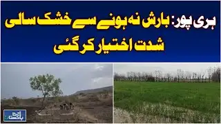 Haripur Faces Severe Drought | Water Shortage & Falling Leaves - Aaj Pakistan News