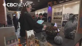 Harry Potter Forbidden Forest Experience criticized for high admission costs