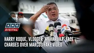 Harry Roque, vlogger 