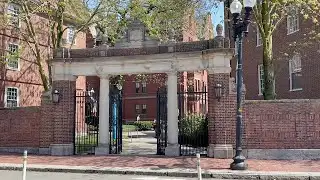 Harvard may pay $500M to settle Trump admin dispute