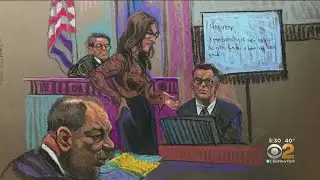 Harvey Weinstein Trial: Prosecution Rests Its Case