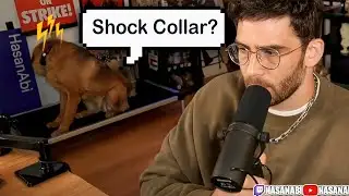 Hasan Accused of using a Shock Collar on his Dog | Streamers React