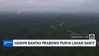 Hashim Bantah Prabowo Punya Lahan Sawit