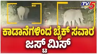 Hassan : ಕಾಡಾನೆಗಳಿಂದ ಬೈಕ್ ಸವಾರ ಜಸ್ಟ್ ಮಿಸ್ : Biker Has a Narrow Escape from Wild Elephants