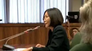 Hawaii County elections council reacts