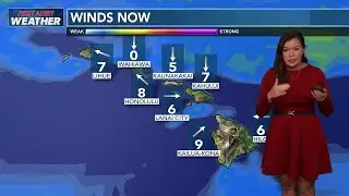 Hawaii News Now - 1.26 Jen Robbins