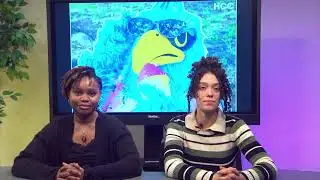 Hawk News Magazine | Fall 2025