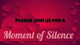 Hawks Rise News Live Stream