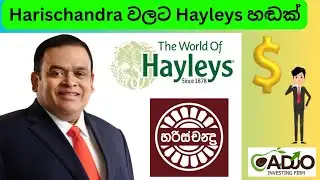 හේලීස්ට හරිචන්ද්‍ර අයිති වුණා | Hayleys acquires 40% stake in Harischandra Mills | #සමාගම්වෙළඳපොළ