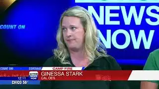 Hazardous tree removal deadline, what you need to know