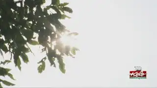 Hazy sunshine was back Tuesday