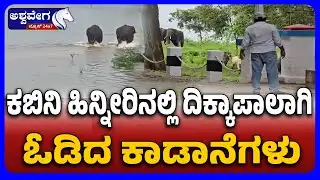 HD Kote Kabini Elephant Chaos in Mysuru | ಕಬಿನಿ ಹಿನ್ನೀರಿನಲ್ಲಿ ದಿಕ್ಕಾಪಾಲಾಗಿ ಓಡಿದ ಕಾಡಾನೆಗಳು!
