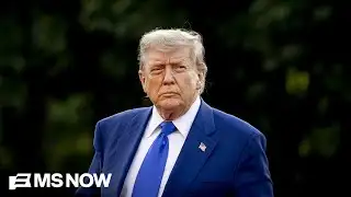 ‘He is scared’: Trump posts 150 times on Christmas Day in ‘unhinged rage-baiting spree’