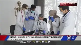 Health risks of antimicrobial resistant superbugs