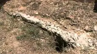 Heat Puts Stress On Homes, Causes Cracks In Foundations