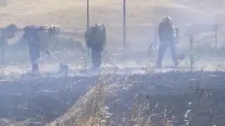 Heat waves to become common, experts say