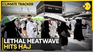 Heatwave kills 922 during Haj pilgrimage, at least 68 Indians dead | WION Climate Tracker