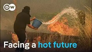 Heatwave puts Europe to the test | DW News