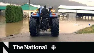 Heavy rain delays crops in B.C.