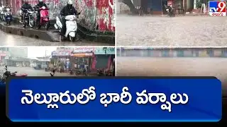 Heavy rain lashes Nellore district - TV9