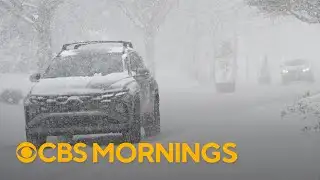 Heavy snow and strong winds pummel southeastern U.S.