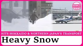 Heavy snow grips Japan, forcing flight cancellations across northern regions