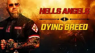 Hells Angels Their Reputation Has Vanished