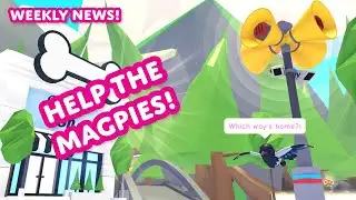 🐦‍⬛ Help the Magpies! 🚨 Weekly News! 🗞️ Adopt Me! on Roblox