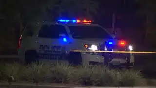 Henderson Police identify trafficking, stolen car suspect