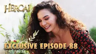 Hercai Urdu - Exclusive Episode 88