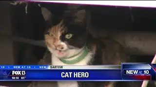 Hero cat saves sleeping Florida family from fire