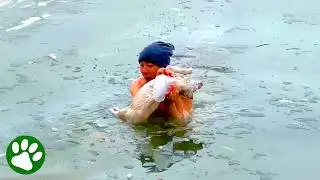 Hero shows incredible bravery saving a helpless pup ❤️