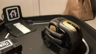 Hey Vector, why did Anki shut down?