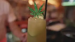 High and dry: Cannabis cocktail trend offers buzz without booze