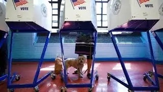 High-stakes NY primary: Huge voter turnout expected