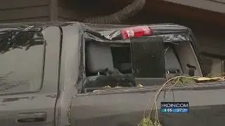 High wind knocks down poles, trees, billboard