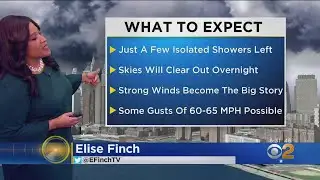 High Wind Warning Issued For Entire Area