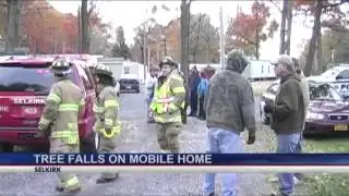 High winds to blame for a tree landing on