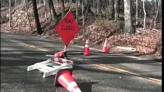 High winds topple trees, cut power