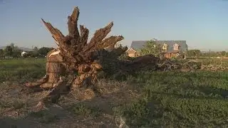 High winds whip across the state