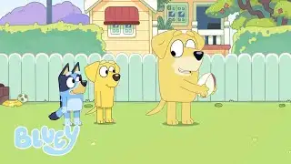 Highball | BONUS BIT | Bluey