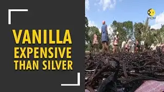 Highest Vanilla price recorded; more expensive than Silver