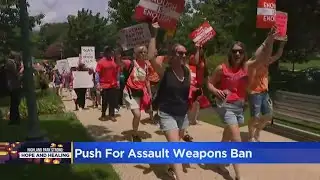 Highland Park parade shooting survivors push for assault weapons ban