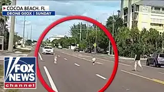 HIGHWAY HERO: Man rescues toddlers from Florida highway