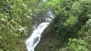 Hiker impaled by tree branch on Oahu trail