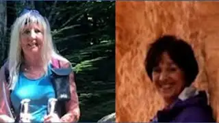 Hikers killed by tree in Olympic National Park