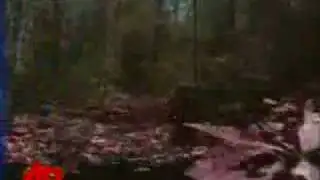 Hilton Murder Investigation Expanding